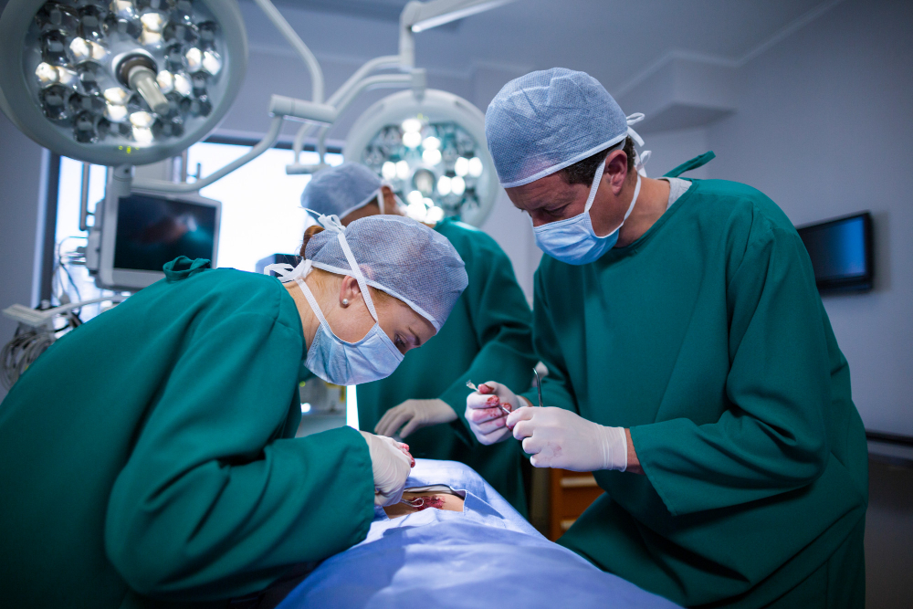 TAPP & TEP INGUINAL HERNIA REPAIRS SURGICAL WORKSHOPSPROGRAMME 2025